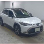 WhatsApp Image 2025-11-08 at 12.47.24_a65bfbbf