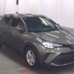 WhatsApp Image 2025-12-13 at 11.39.23 AM (1)