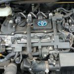 WhatsApp Image 2025-12-20 at 4.41.44 PM (1)