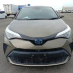 WhatsApp Image 2025-12-20 at 4.41.46 PM (3)