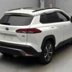 WhatsApp Image 2026-03-24 at 12.11.06 PM (1)