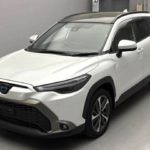 WhatsApp Image 2026-03-24 at 12.11.06 PM