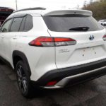 WhatsApp Image 2026-04-04 at 3.59.42 PM (1)