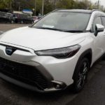 WhatsApp Image 2026-04-04 at 3.59.42 PM (2)