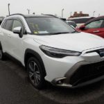 WhatsApp Image 2026-04-04 at 3.59.43 PM