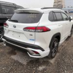 WhatsApp Image 2026-04-05 at 12.08.21 PM (2)