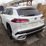 WhatsApp Image 2026-04-05 at 12.08.21 PM (3)