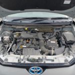 WhatsApp Image 2026-04-06 at 12.09.37 PM