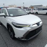 WhatsApp Image 2026-04-08 at 11.21.25 AM